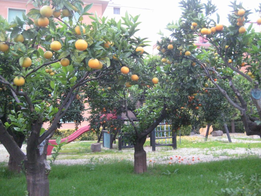 Hotel Villa San Giuseppe 산토바르톨로메오알마레 외부 사진
